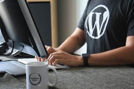 WordPress 自定义查询 WP_Query所有参数详细注释-小菜资源库