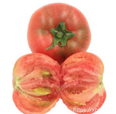西红柿籽的功效与作用-小菜博客