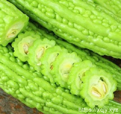 苦瓜与什么食物相克-小菜博客
