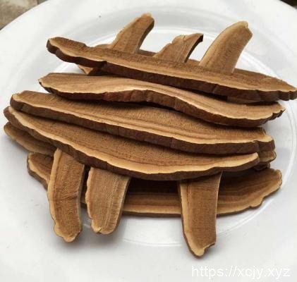 灵芝对消化系统起到哪些作用？-小菜博客