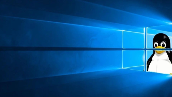 linux和windows软件一样吗-小菜博客