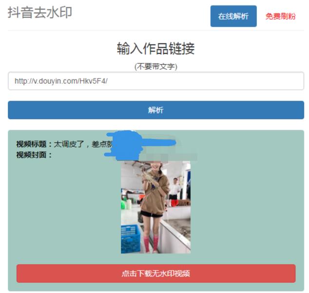 抖音在线去水印网站PHP源码-小菜博客