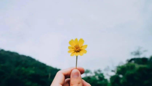 天秤座的人在感情中专情吗？-小菜博客