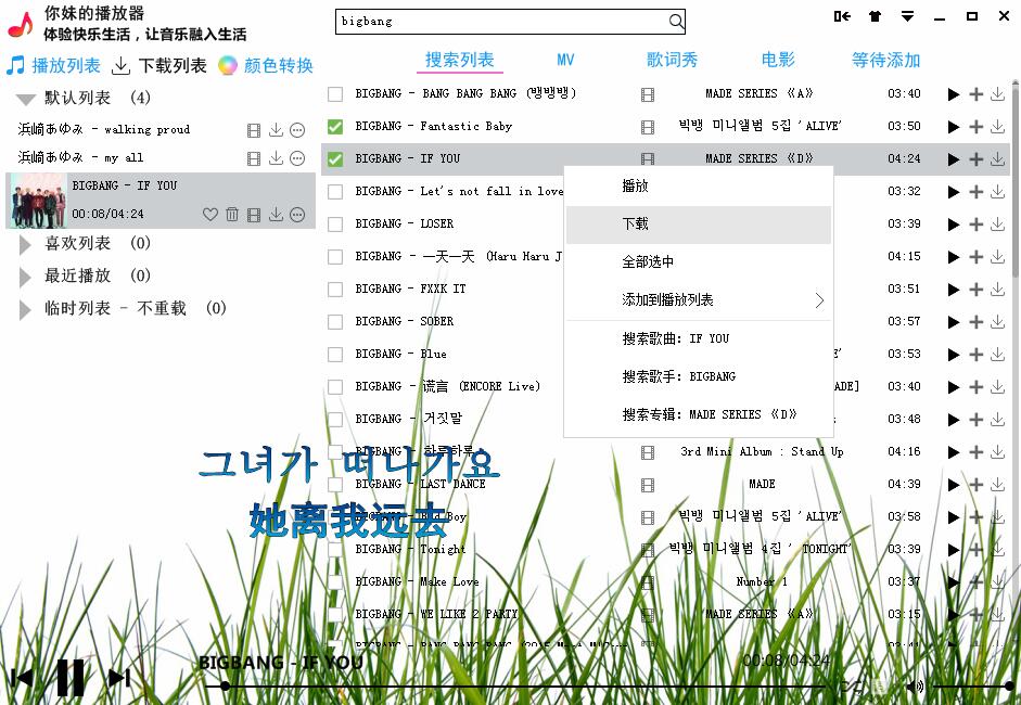 你妹的播放器全套源码功能齐全-小菜博客